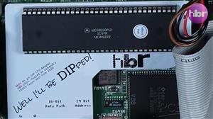 Well I'll be DIPped 2.jpg