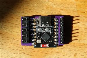 1L4A7207 (Duże).JPG