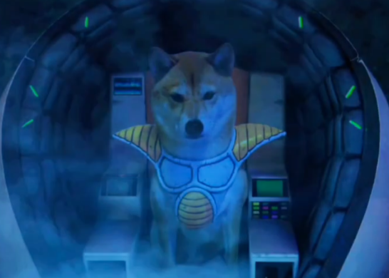 doge.png