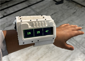 PIP WATCH Version 2