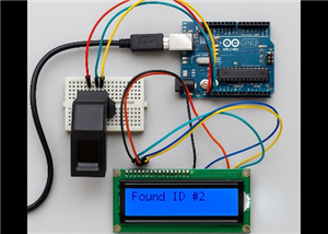 Global Human Detection Using Fingerprint