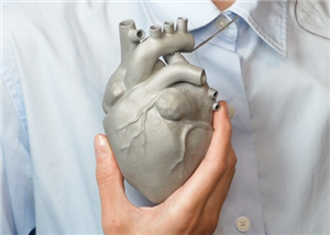 Aluminum Anotomical Heart