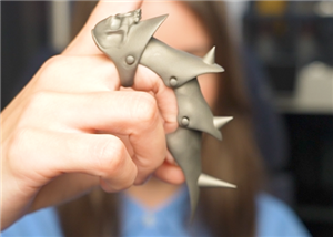 Titanium ring desing